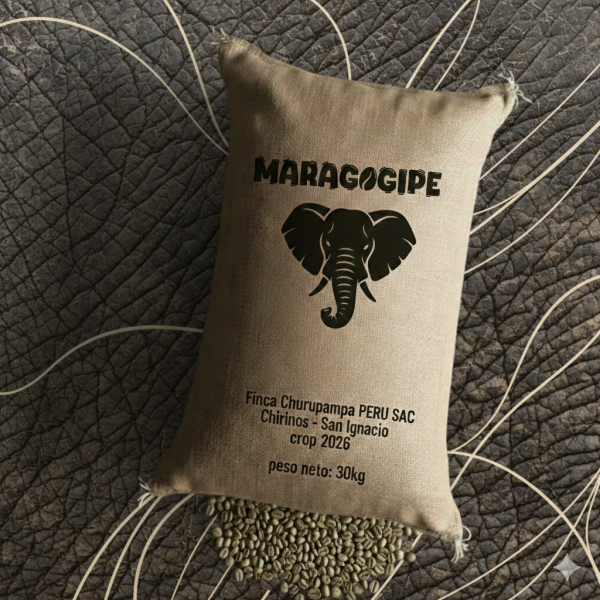 Maragogipe 30Kg