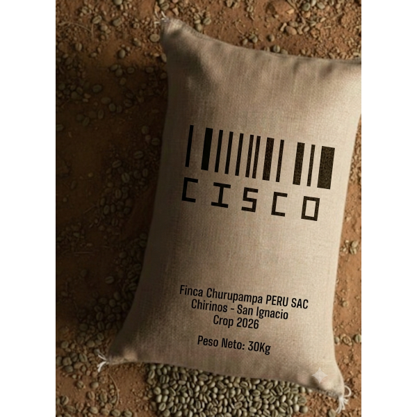 Cisco 30kg